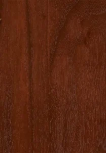 Black Walnut