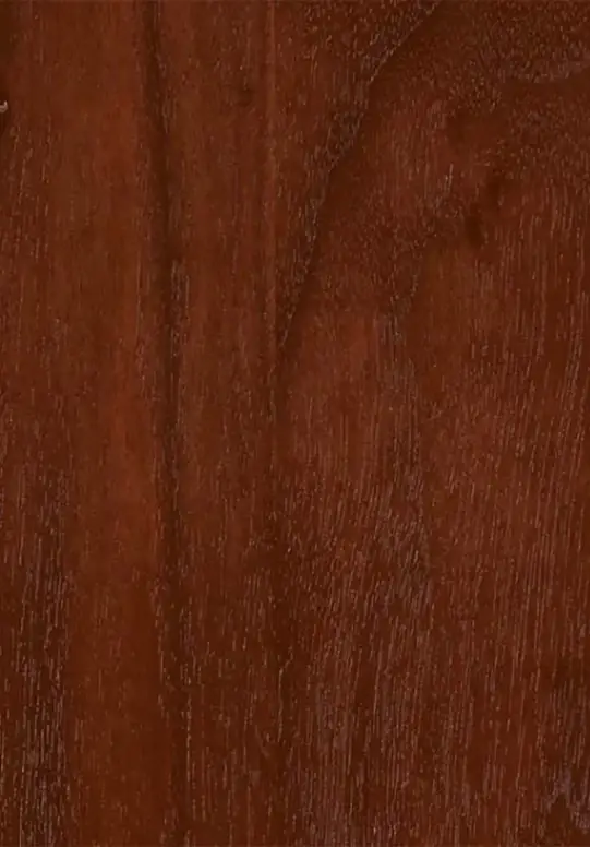 Black Walnut