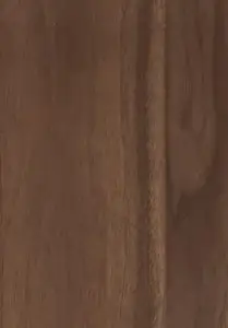 Black Walnut