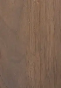 Black Walnut