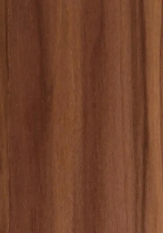 Black Walnut