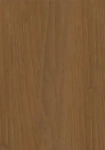 European Walnut