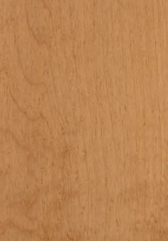 Maple