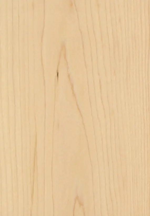 Maple